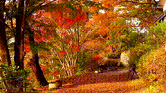 天住进风景里