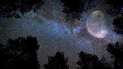 天星辰夜空森林