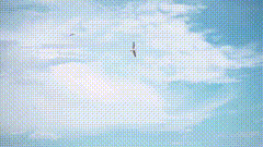 天空唯美视频素材