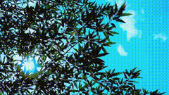 天空素材特效842