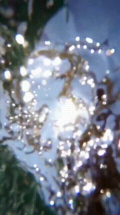 太阳唯美素材素材特效短视频素材阳光唯美素材