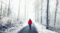 奔赴他乡素材分享雪景