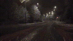 安全雪一路看雪
