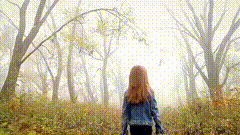 山间小路的唯美素材特效