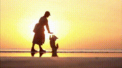 感原创作品我用摄影看世界夕阳下的背影