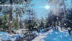 成功被这首歌洗脑了，雪景合集素材
