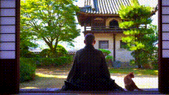 打坐唯美视频素材禅悟人生