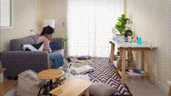 收拾房间唯美视频素材素材分享