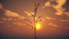 日出东方催我醒，晚霞夕阳懂我心