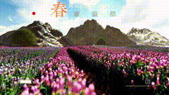 春天的气息旅行在路上花海
