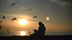 晚霞一抹夕阳美如画把生活拍成电影日落夕阳下的背影