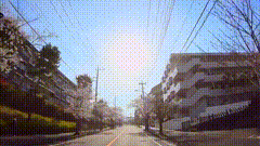 桃花城市风景最美的风景在路上