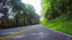 森林公园道路素材素材特效短视频素材