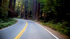 森林公路开车素材