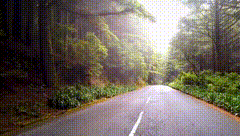森林里的公路素材（原视频16秒）