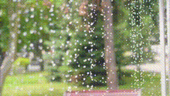 水滴唯美视频素材素材库雨