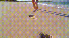 沙滩漫步阳光沙滩海浪海浪