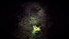 深夜山上手电筒探险素材