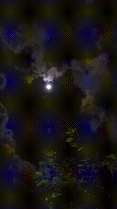 深夜语录素材