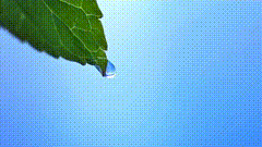 滴水唯美素材特效