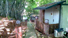 生活回村的生活