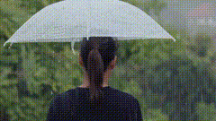 的声音南方的雨所见诗意