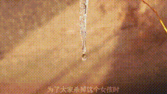 给你们听个故事吧，晚安
