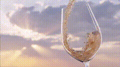 葡萄酒唯美视频素材素材领取方法
