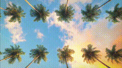 被夏日治愈的美好瞬间