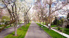 道路唯美素材