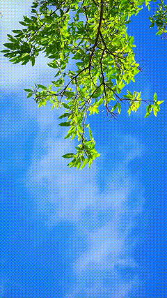 高清天空唯素材