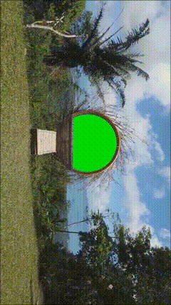 夏威夷特效