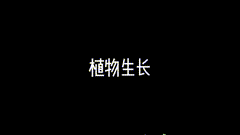 大自然聆听大自然生命的力量