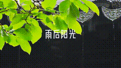 拥抱自然雨后阳光雨后阳光素材分享，阳光总在分雨后