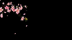 春风十里桃花开，三生三世十里桃花