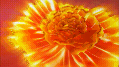 牡丹花素材素材分享视觉艺术金光闪闪的牡丹花开，留下爱