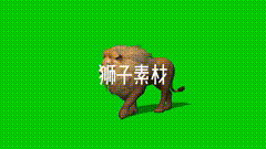 狮子绿幕素材雄狮素材