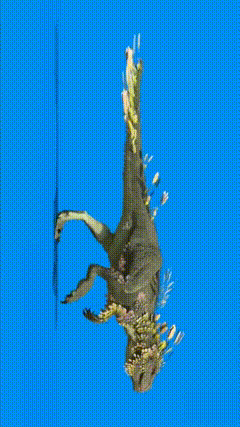 绿布抠像素材4836