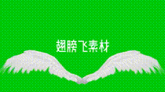 绿幕抠像会飞的翅膀绿幕素材一双会飞的翅膀，可以合成一