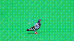 绿幕特效素材2267