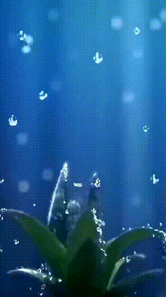 绿幕特效素材4234