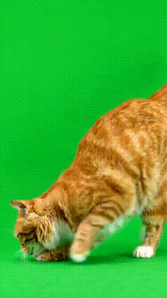 绿幕特效素材7536