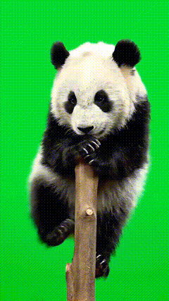 绿幕特效素材8390