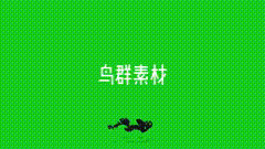 群鸟齐飞绿幕素材鸟群素材分享，转场素材