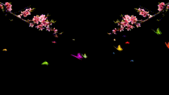 花开了春天你好桃花、樱花、蝴蝶素材分享春天花会开，鸟