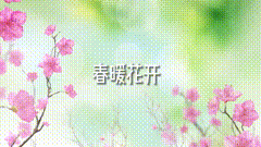 花开富贵视频素材春暖花开，漫山遍野映山红