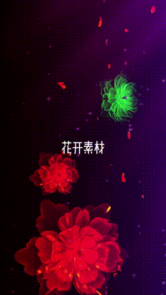 花开素材花开富贵好运来竖屏开花素材，一花一草一世界见