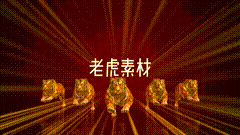虎年老虎五虎连奔素材，老虎奔跑素材