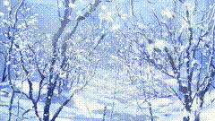 雪景带你看雪景喜欢下雪的感觉银装素裹，分外妖娆